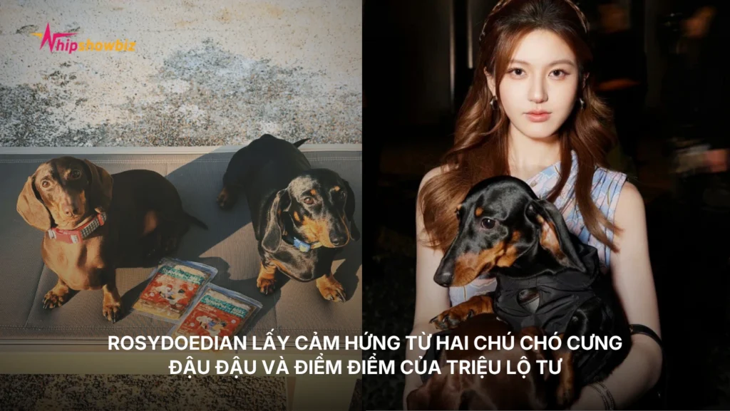 ROSYDOEDIAN lấy cảm hứng từ hai chú chó cưng Đậu Đậu và Điểm Điểm của Triệu Lộ Tư
